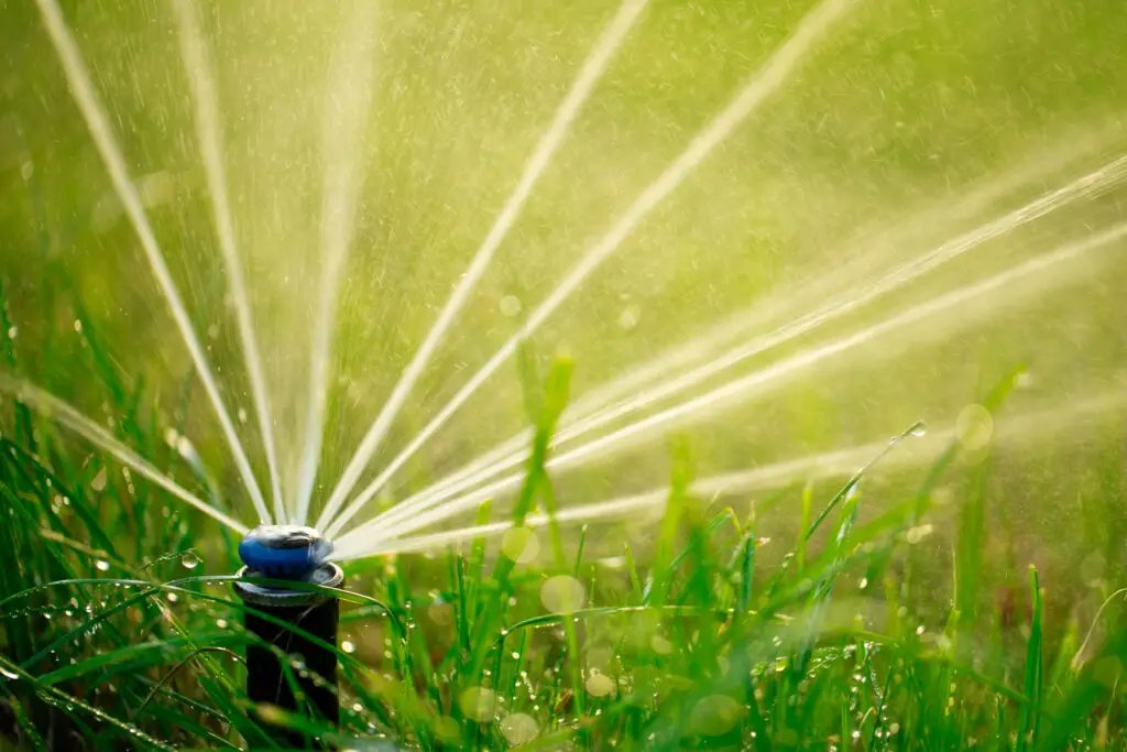 Digital Marketing for Sprinklers and Irrigation Companies